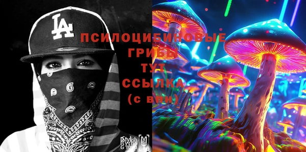 метадон Алексин