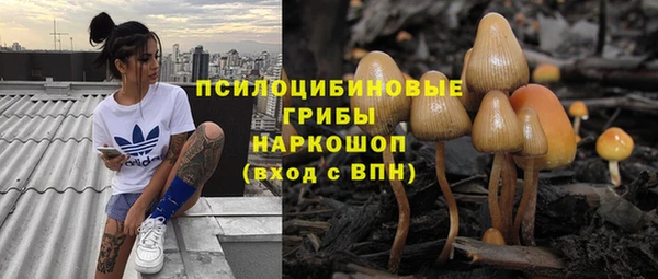 spice Надым