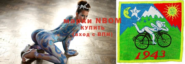 метадон Алексин