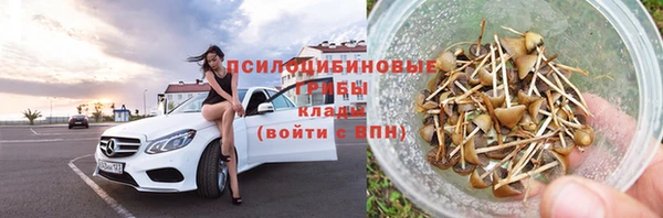 гидропоника Алексеевка