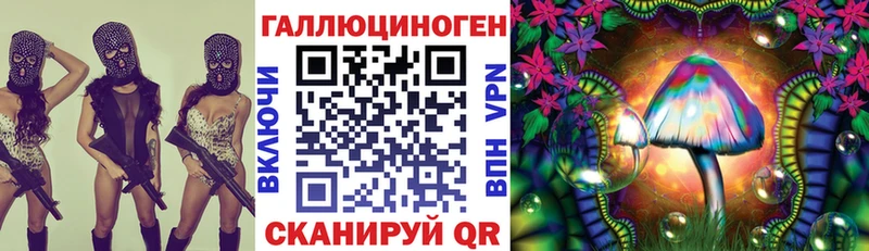 Галлюциногенные грибы Cubensis  закладки  Березники 